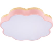 Потолочный светильник LOFT IT Axel 10225/36 Pink