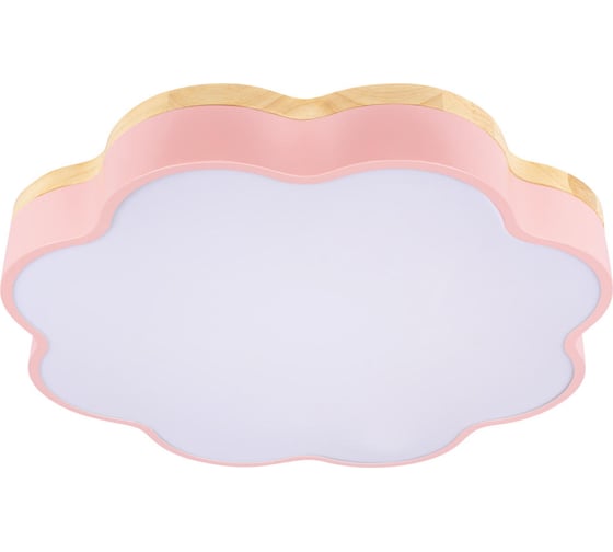 Потолочный светильник LOFT IT Axel 10225/36 Pink