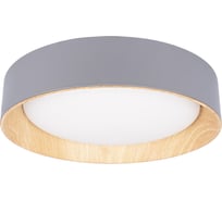 Потолочный светильник LOFT IT Coin 10202 Grey