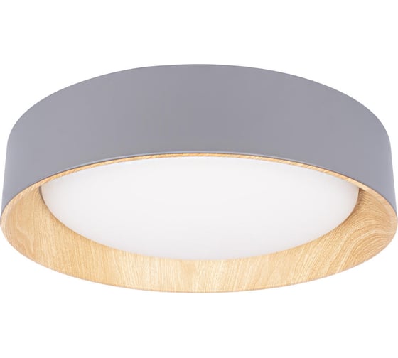 Потолочный светильник LOFT IT Coin 10202 Grey 1