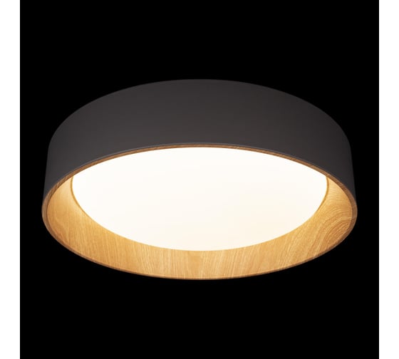 Потолочный светильник LOFT IT Coin 10202 Grey