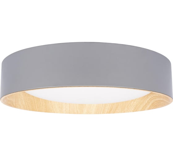 Потолочный светильник LOFT IT Coin 10202 Grey
