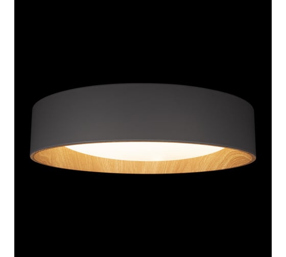 Потолочный светильник LOFT IT Coin 10202 Grey