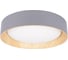 Потолочный светильник LOFT IT Coin 10202 Grey 1
