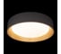 Потолочный светильник LOFT IT Coin 10202 Grey 2
