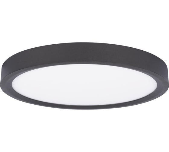 Потолочный светильник LOFT IT Extraslim 10227/24 Black