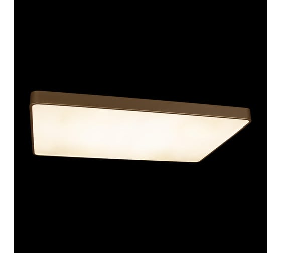 Потолочный светильник LOFT IT Flims 10228/E