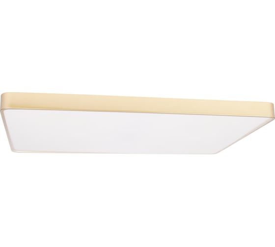 Потолочный светильник LOFT IT Flims 10228/E