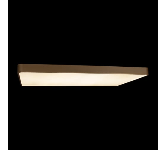 Потолочный светильник LOFT IT Flims 10228/E
