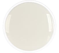 Светодиодный светильник Lumin'arte CLL1460W-STARLUX