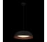 Подвесной светильник LOFT IT Cappello 10229P Black 2