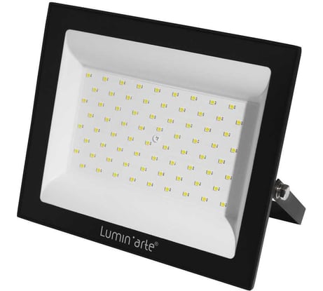 Светодиодный прожектор Lumin'arte 100вт 5700к ip65 8000лм черный LFL-100W/06