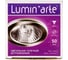 Точечный светильник Lumin'arte KDOSL-DL50GU5.3 2
