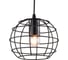 Подвесной светильник Lumin'arte PRISON-PL60E27*1BL 1