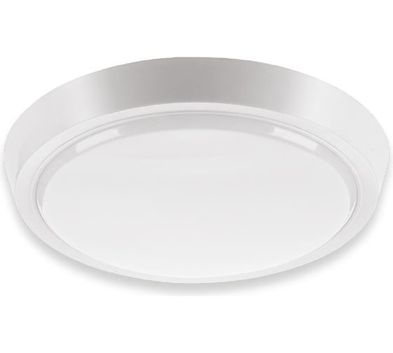 Светодиодный светильник Wolta ЖКХ LED 10Вт, 6500K холодный свет, IP40, потолочный, настенный DBO01-10-6.5K 1