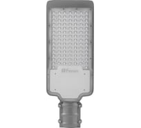 Уличный светодиодный светильник FERON 100LED*100W AC230V 50Hz цвет серый IP65, SP2924 32277
