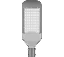 Уличный светодиодный светильник FERON 200LED*200W AC230V 50Hz цвет серый IP65, SP2920 32575