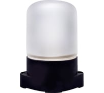 Светильник Camelion 1501 цвет черный до 125 ос (нпб-400 ксс-001 230в 60вт) 15261