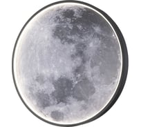 Настенно-потолочный светильник ESCADA 10226/SG LED*43W Moon 10226/SG LED Moon