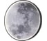 Настенно-потолочный светильник ESCADA 10226/SG LED*43W Moon 10226/SG LED Moon 1