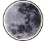 Настенно-потолочный светильник ESCADA 10226/SG LED*43W Moon 10226/SG LED Moon 3