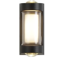 Настенный светильник 30006W/01 LED*4W IP54 Black ESCADA 30006W/01LED