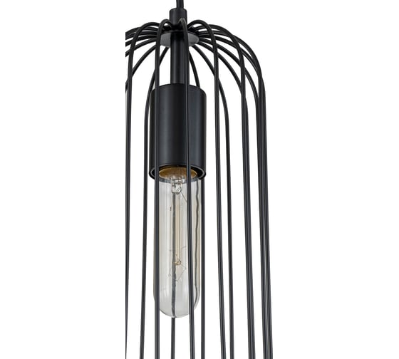 Подвесной светильник ESCADA E27*60W Black 10198/1S