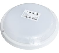 Светодиодный ЖКХ светильник Сириус А SHPR D210x40мм 24Вт 4000К 1920Лм IP65 SHPR-24W-4K-1