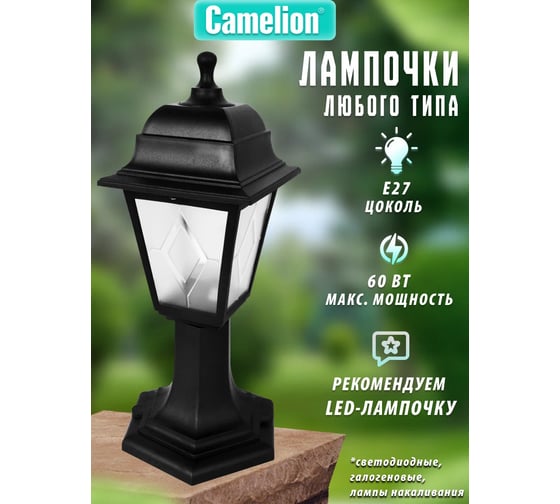Садово-парковый светильник Camelion PP4204 C02 НТУ 04-60-001 У1 "Оскар" черный 13838