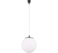 Трековый однофазный светильник Crystal lux CLT 0.31 015 BL