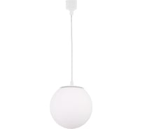 Трековый однофазный светильник Crystal lux CLT 0.31 015 WH