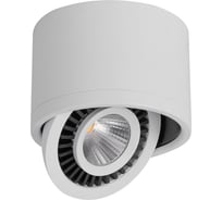 Светодиодный светильник FERON 10W, 900Lm, 4000К, 24 градуса, белый, поворотный, AL523 32701