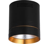 Светодиодный светильник FERON 10W, 900Lm, 35 градусов, черный с золотым кольцом, AL521 32465