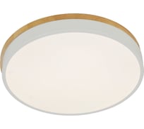 Настенно-потолочный светодиодный светильник RITTER SNELLO, 48Вт, до 16 кв.м., цвет белый/дерево, 51623 5