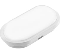 Светильник AY-KA LED IP65, 15Вт, 6400К, овал, белый 9911001