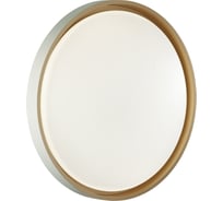 Настенно-потолочный светильник СОНЕКС KISIL LED 48W 7645/DL