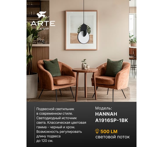 Подвесной светильник ARTE LAMP hannah A1916SP-1BK