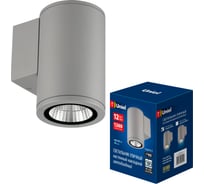 Светильник светодиодный уличный. Архитектурный накладной. ULU-S21С-12W/2700K IP65 LIGHT GREY Uniel UL-00011080