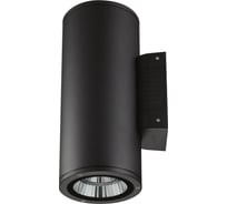 Уличный светильник Uniel ULU-S22D-2x22W/6400K IP65 BLACK UL-00010852