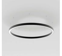 Светильник Arlight SP-LINE-HANG-ARC-O3535-D800-65W Day4000 1 шт. 034007(2)