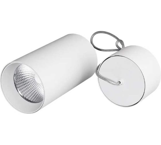 Светильник Arlight подвесной SP-POLO-R85-2-15W Day White 40deg, IP20, металл, 1 шт. 022948