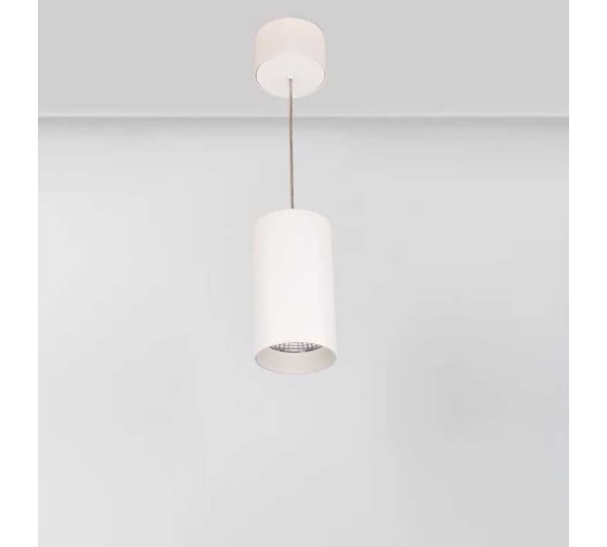 Светильник Arlight подвесной SP-POLO-R85-2-15W Day White 40deg, IP20, металл, 1 шт. 022948