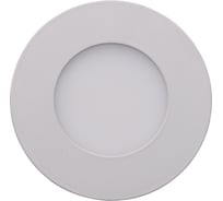 Светильник De Markt Стаут 1x3W LED 220 V 702010401