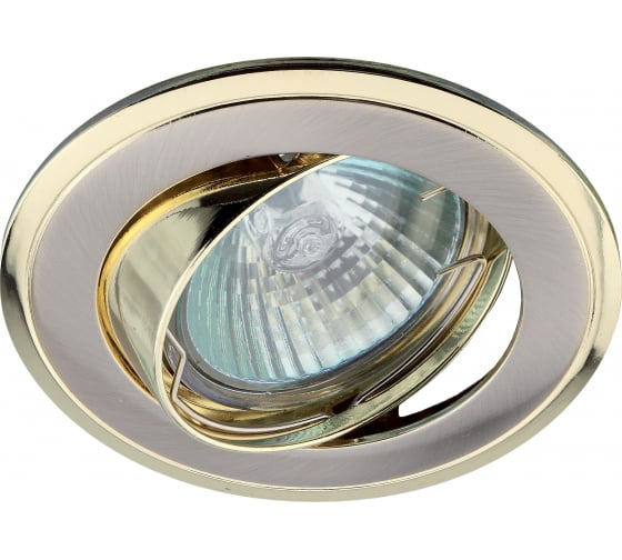 Светильник ЭРА KL22 А SN/G литой пов. двойной контур MR16,12V/220V, 50W сатин никель/золото C0043708 1