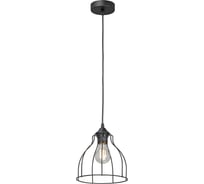 Люстра VITALUCE 1xE27, максимум 40вт V3102-1/1S
