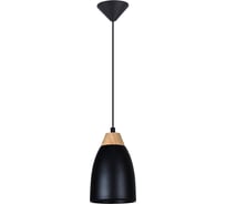 Подвесной светильник TOPLIGHT leah TL0724H-2B