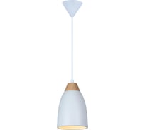 Подвесной светильник TOPLIGHT leah TL0724H-2W