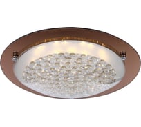 Настенно-потолочный светильник GLOBO LIGHTING tabasco globo 48264