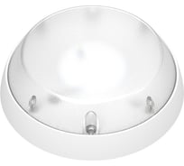 Светодиодный светильник Дюрэй Алтай 10W D0004570