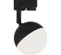 Трековый светильник ESCADA 20041TRA/01 LED 6W 3000/4000/6000K черный 20041TRA/01LED BK